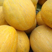 Chip and Pin-o-Phobia